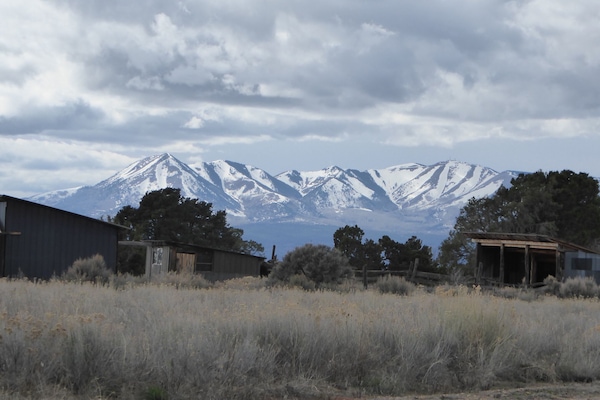 View of Blue Mts looking west from property