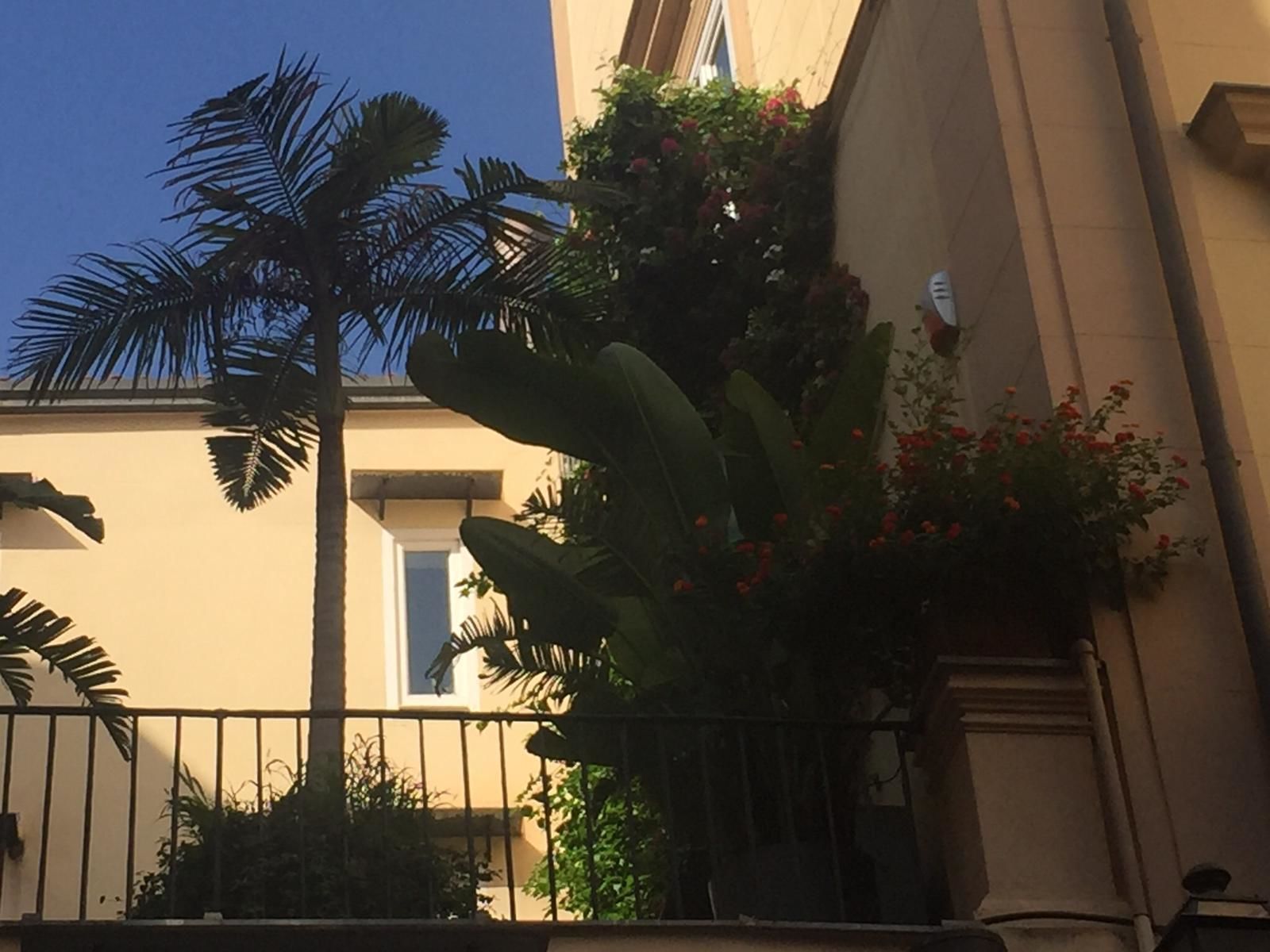 Foto - Da Cristina Palazzo Atanasio