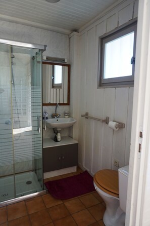 Shower - Villa familiale avec chalet proche centre et plage (044) (Biscarrosse)