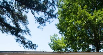 WanderLost Ozarks - Dog friendly, 4 acres