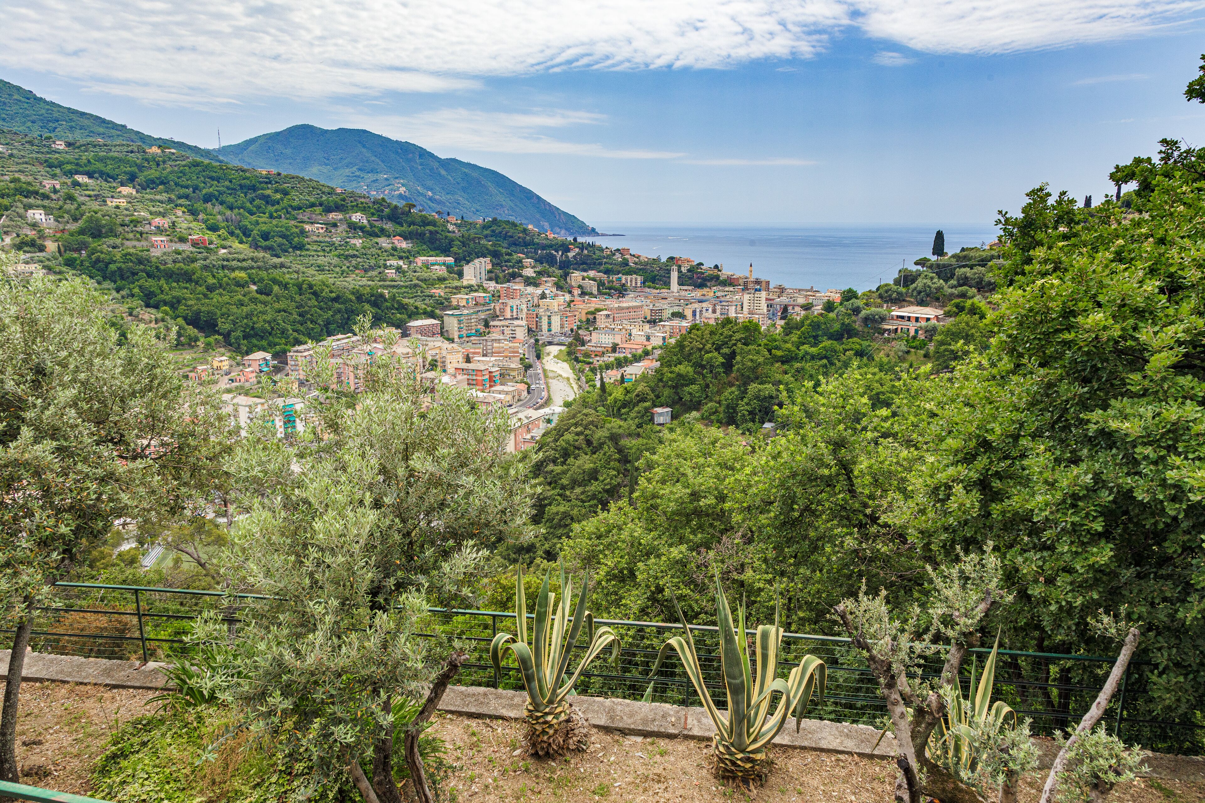 A coastal town with buildings nestled in green hills, a clear view of the sea, and cacti in the foreground.