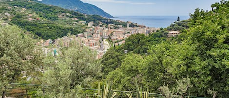 A coastal town with buildings nestled in green hills, a clear view of the sea, and cacti in the foreground.