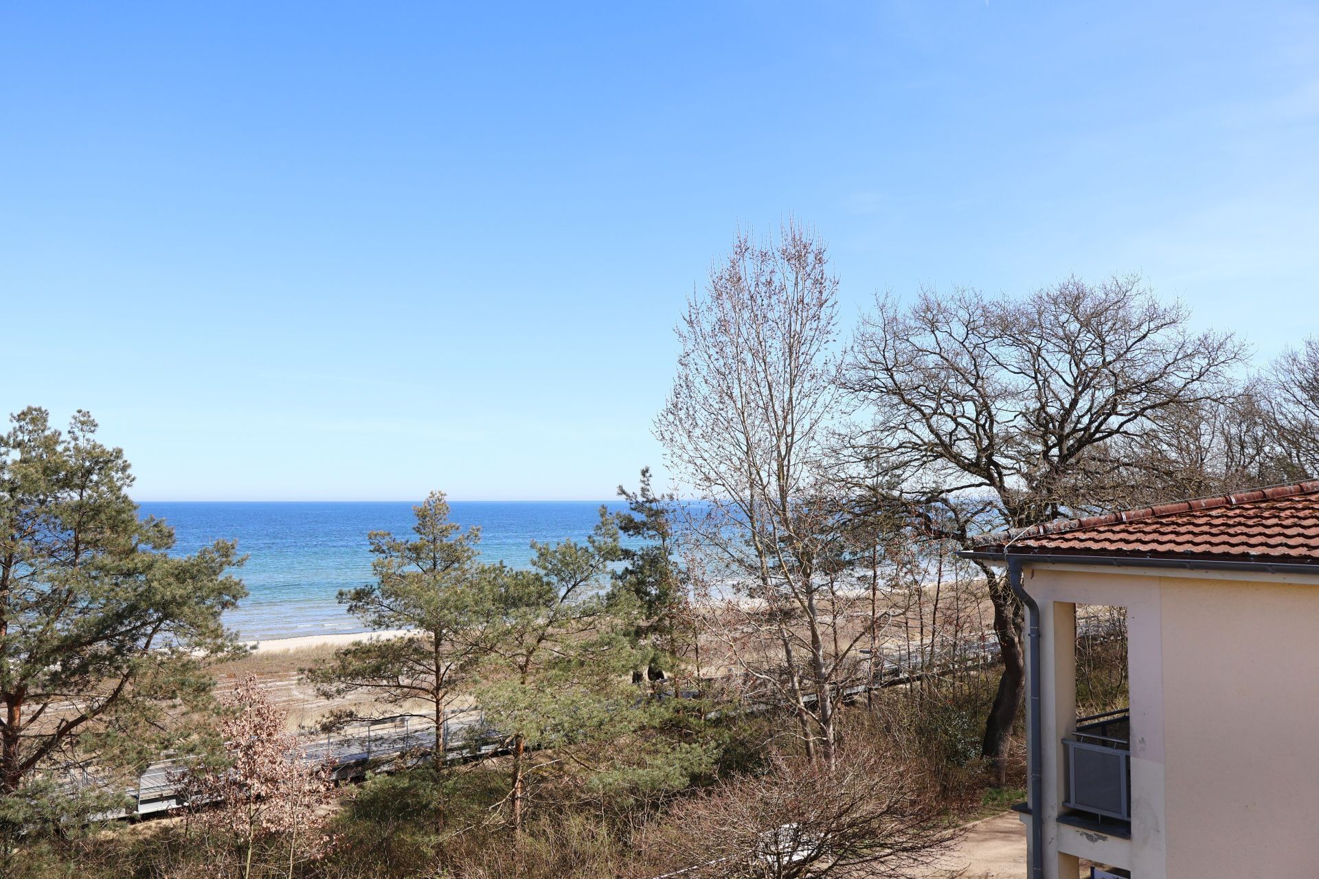 Une vue côtière avec une plage, des arbres et un bâtiment doté d’un toit en tuiles.