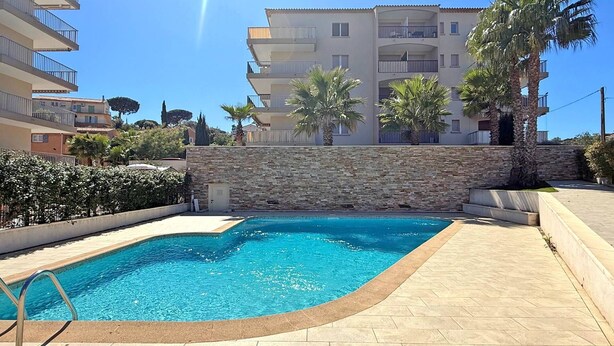 A swimming pool with a stone wall and tiled deck, surrounded by a hedge and palm trees. - Apartment for 4/6 people - Swimming pool - Air conditioning - WiFi - Near center - Sainte Maxime... (STE MAXIME)