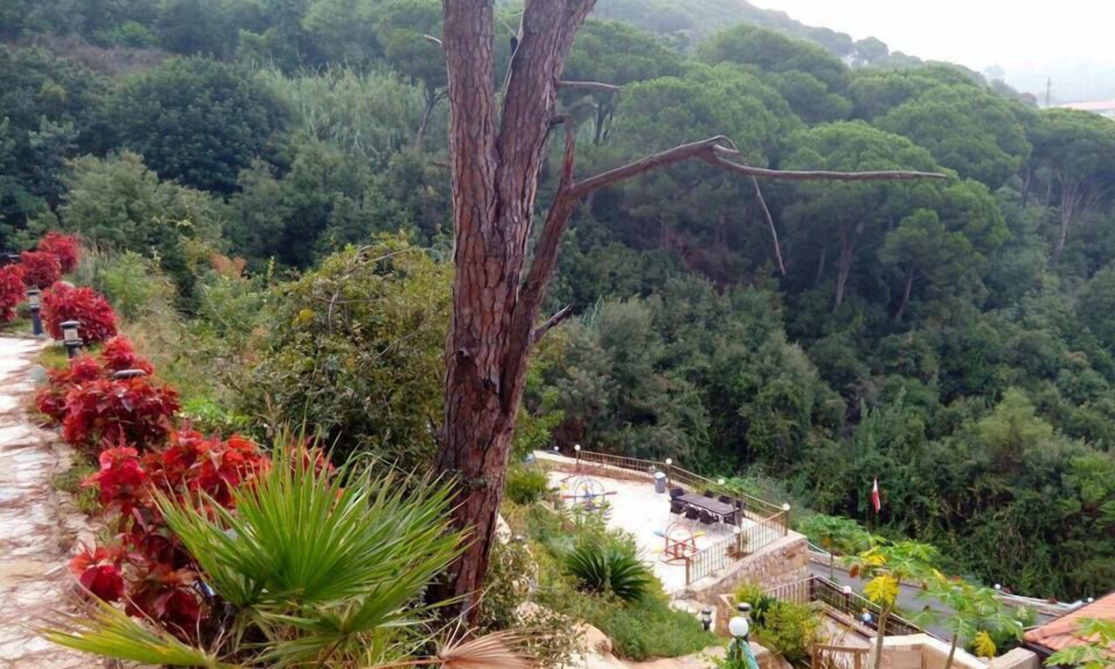 A hotel with a patio area overlooking a forested hillside.