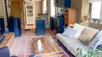 Télévision, cheminée, lecteur de DVD, livres