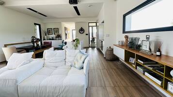 Télévision, cheminée, livres