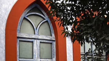 Detalle del exterior