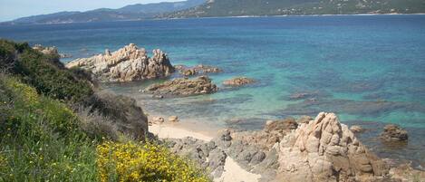 Una playa cerca