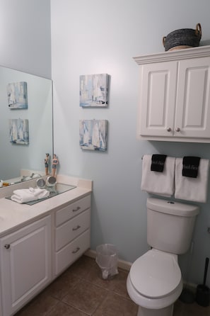 Hair dryer, towels, toilet paper