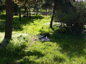 Jardim