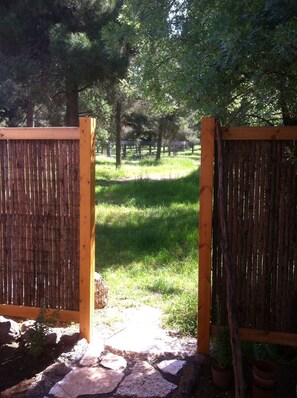 Property entrance - Hamakom Belrom (El-Rum)