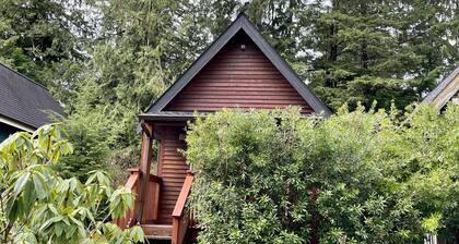 Great Cabin in close to walking trails and beaches - 13T