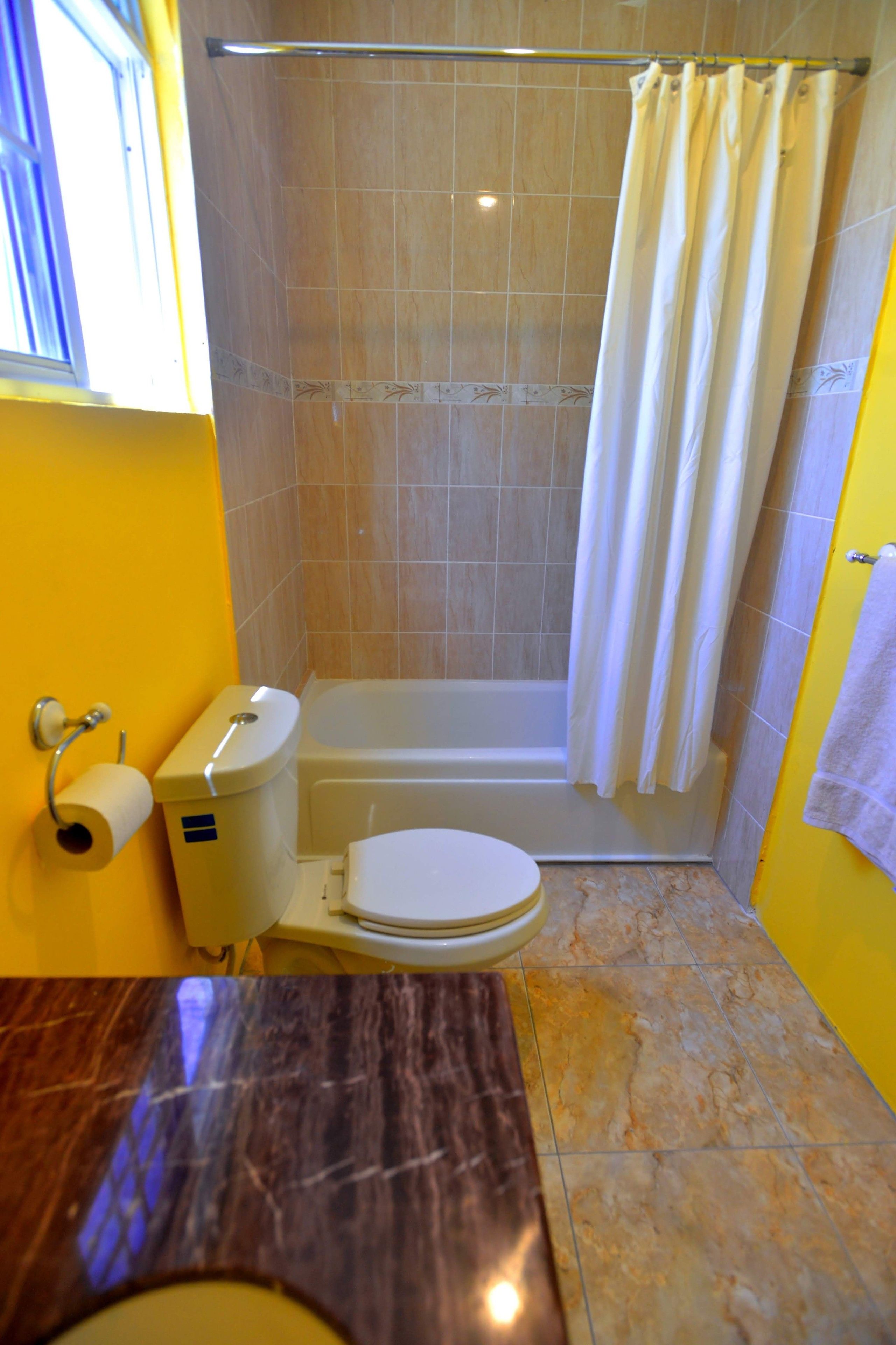 Een badkamer met toilet, bad en douchegordijn.