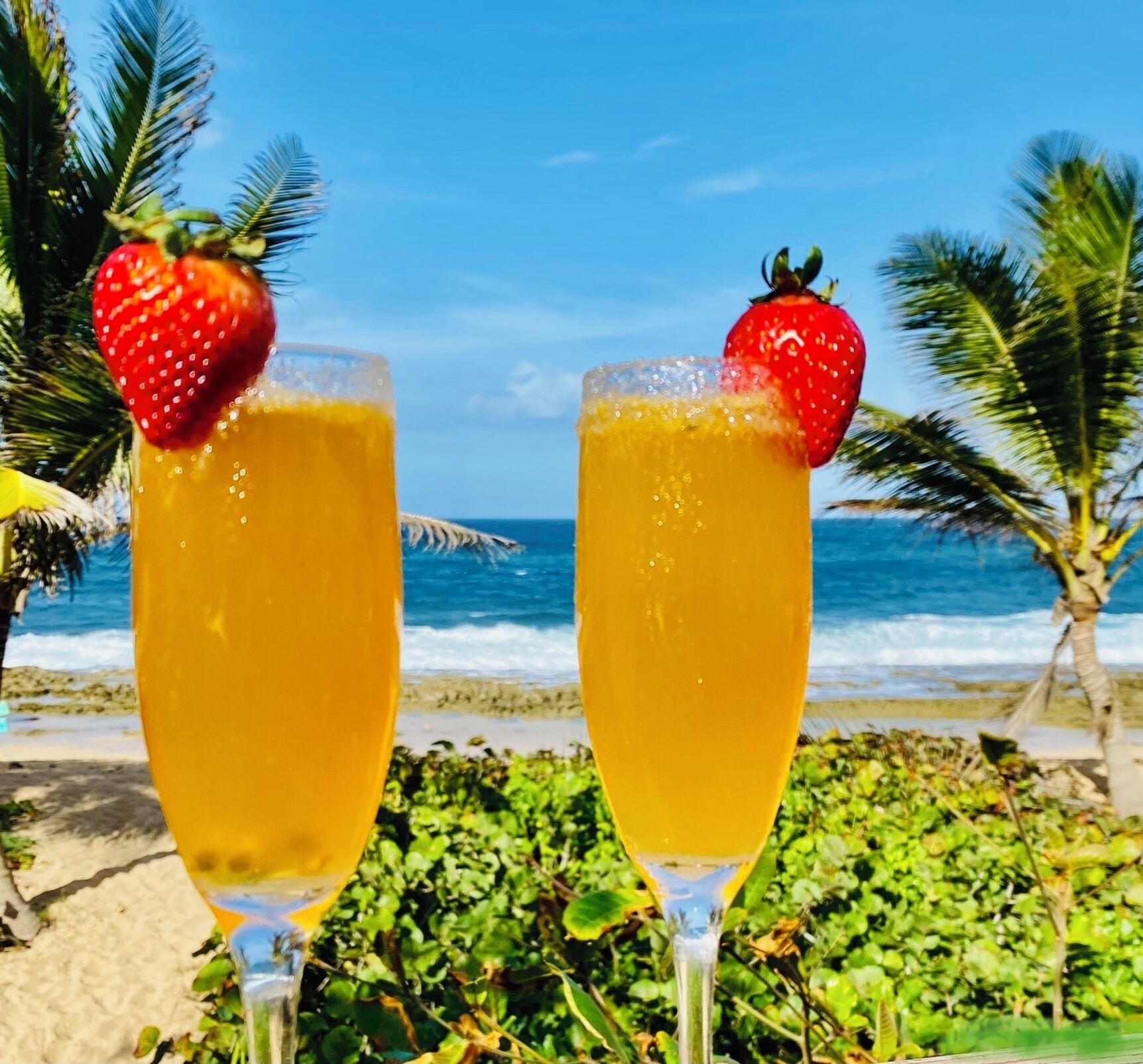 Two glasses of a yellow beverage with strawberries, set against a beach backdrop with palm trees and ocean waves.