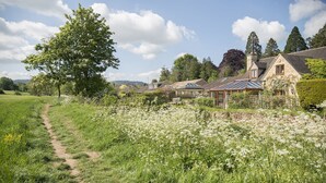 A rural setting with a stone house, a garden path, and a field of white flowers. - Kingfisher Cottage - sleeps 10 guests  in 5 bedrooms (Winchcombe)