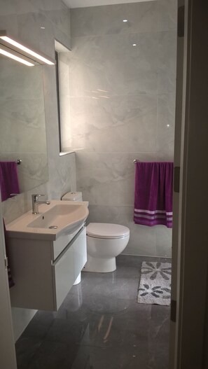 Shower, hair dryer, towels, shampoo
