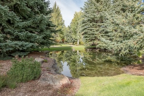 Escape to a serene garden oasis with a tranquil pond and lush greenery.