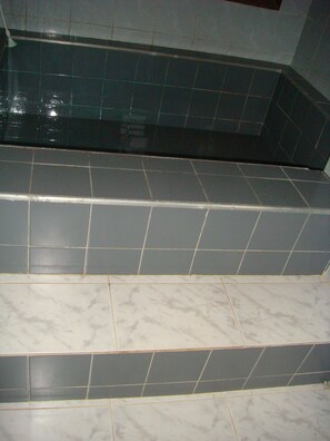 Tina con regadera, secadora de cabello, papel de baño 