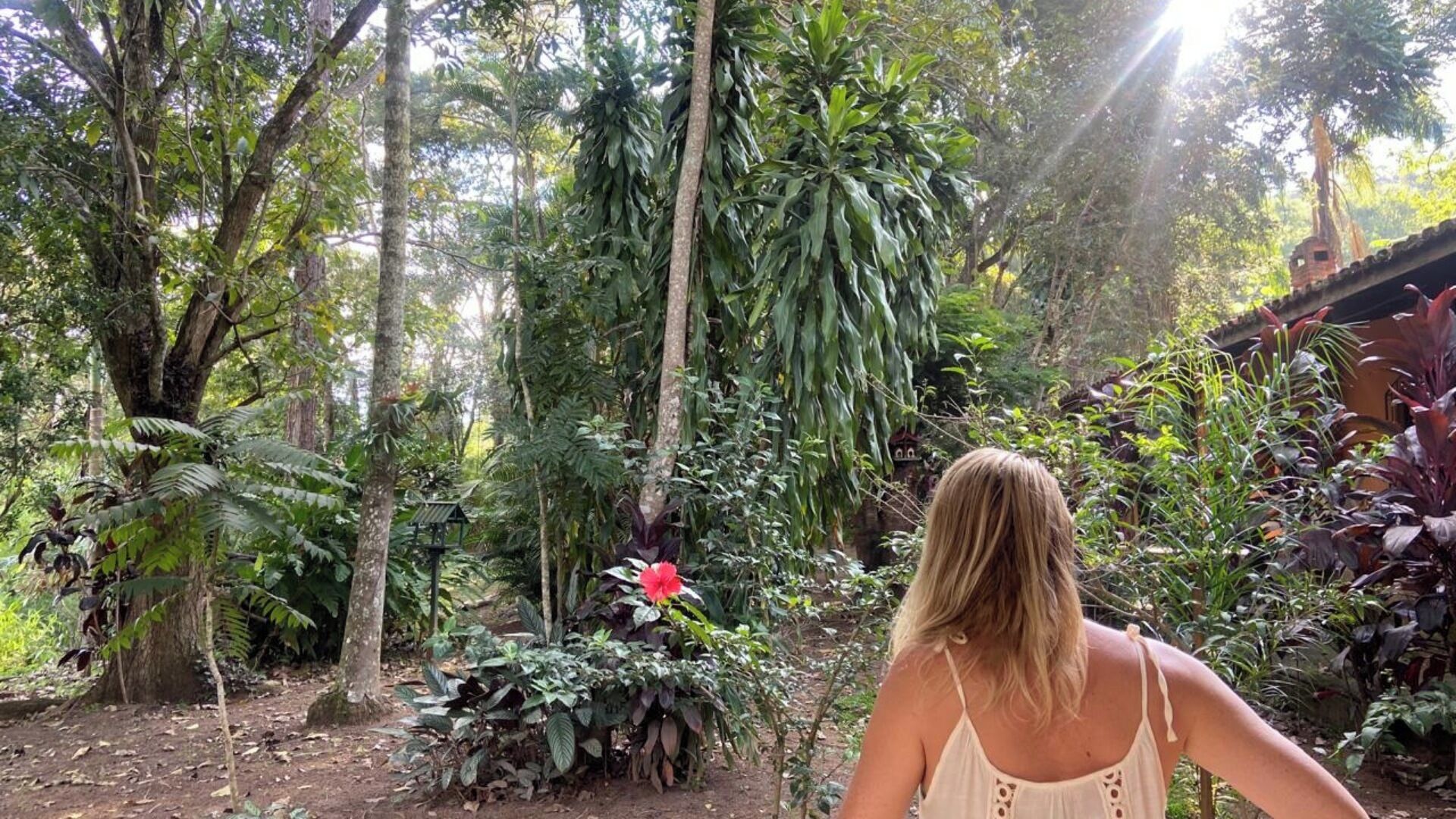 Área da propriedade