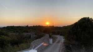 Una strada di campagna con muri in pietra e vegetazione.