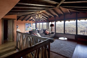 TV, fireplace, DVD player, books