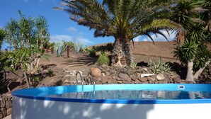 Une piscine entourée de différentes plantes du désert et bordée d’un paysage rocheux.