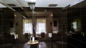 Dusche, Regendusche, Haartrockner, Shampoo