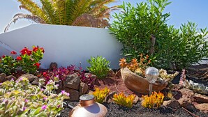 Un jardin avec différentes plantes et un pot décoratif.