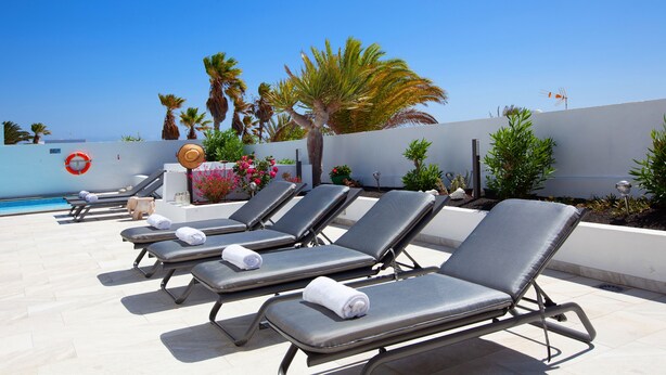 Un espace aménagé au bord de la piscine, avec des chaises longues, une bouée de sauvetage et des palmiers.