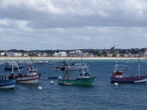 Port de plaisance