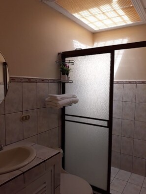 Regadera, secadora de cabello, toallas, jabón 