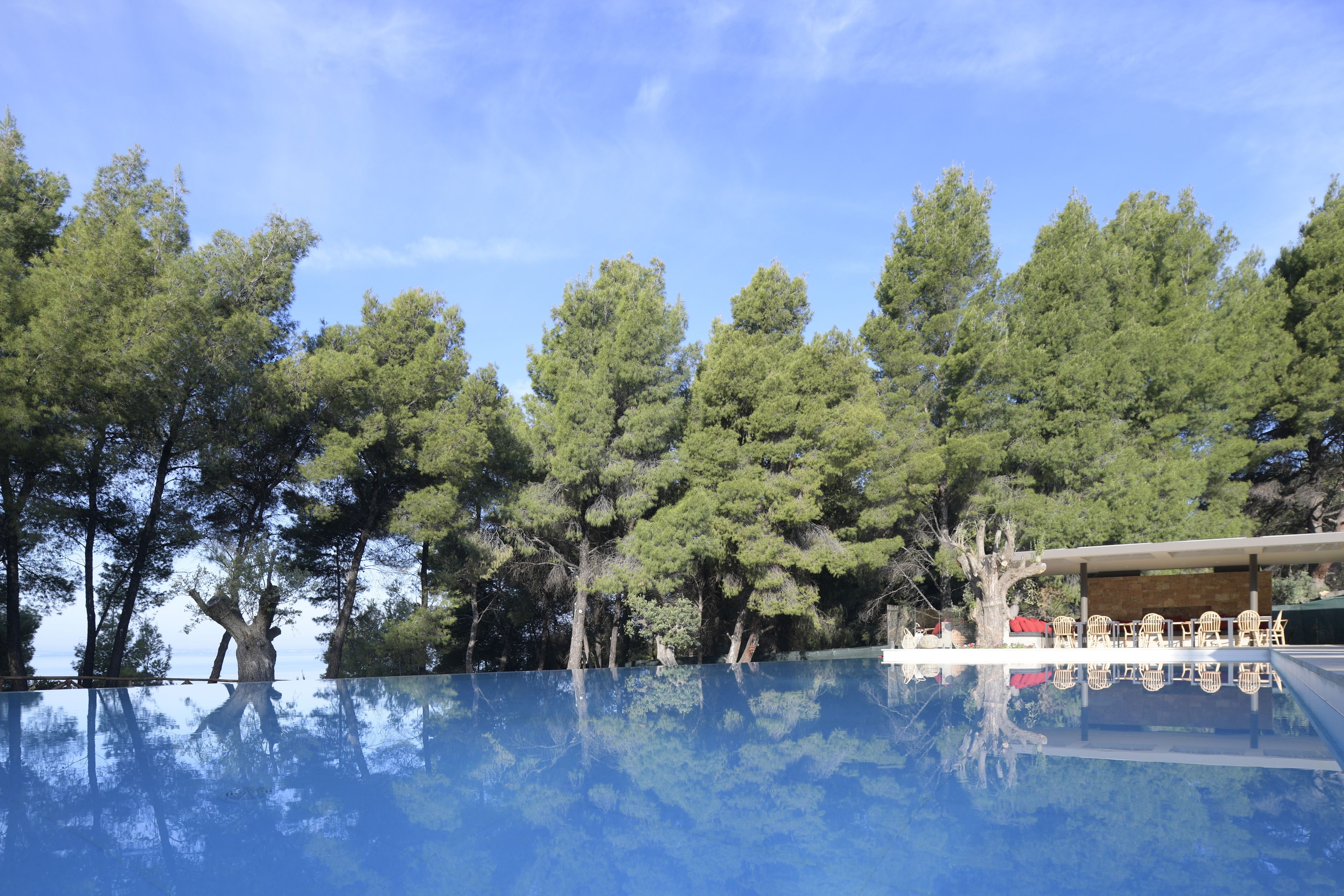 A swimming pool with a clear view of surrounding trees and a covered area with chairs.
