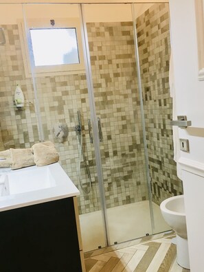 Shower, hair dryer, bidet, towels