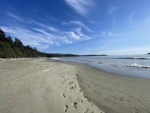 A beach with footprints leading to the water, a forested area, and a clear sky.