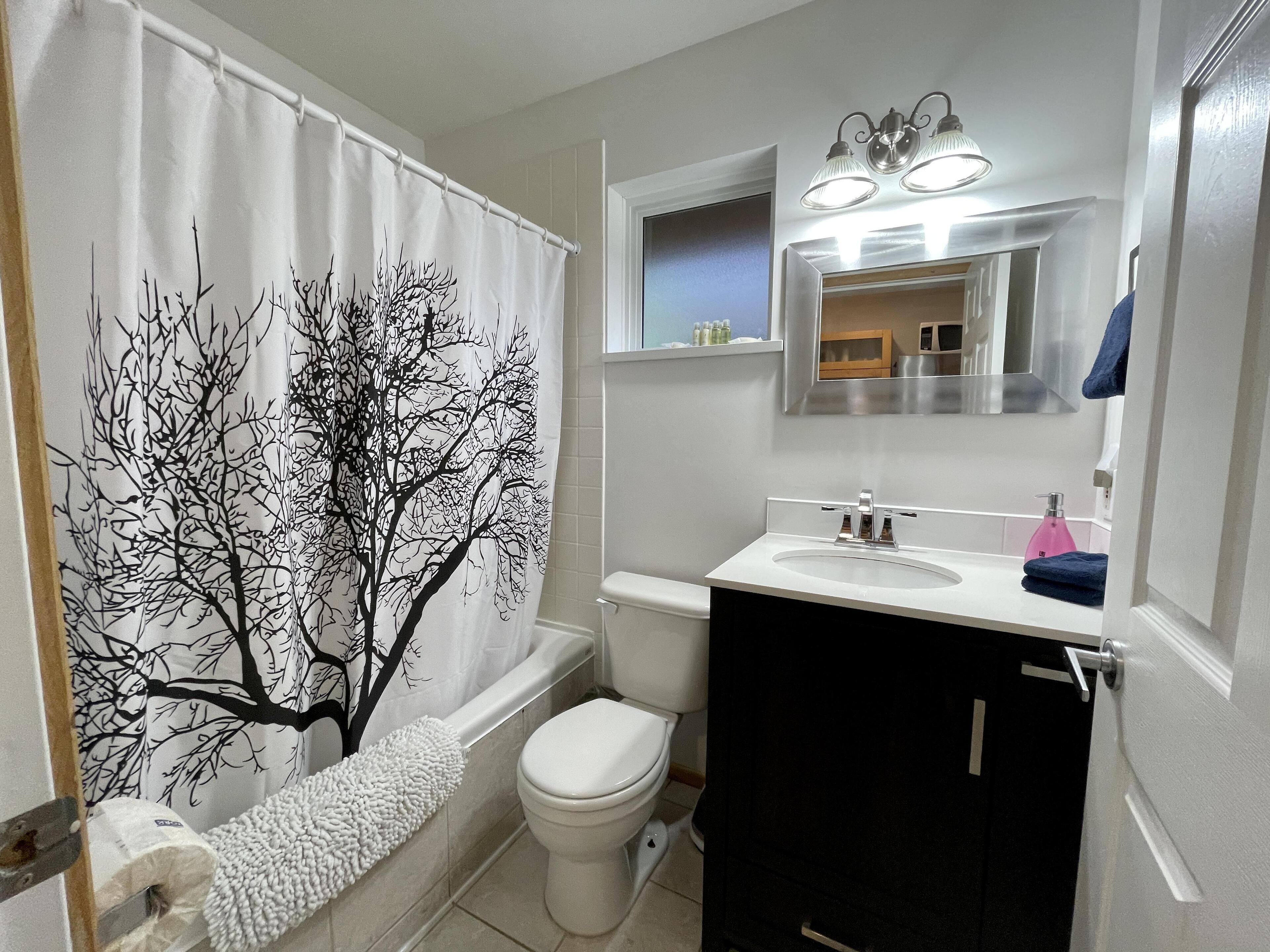 Hair dryer, towels, soap, shampoo