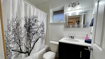 Hair dryer, towels, soap, shampoo