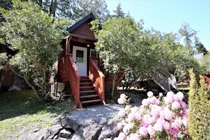 Escape to a serene retreat surrounded by lush gardens and an entrance.