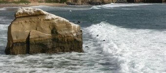 Charming Cottage: 5-minute walk to beach!