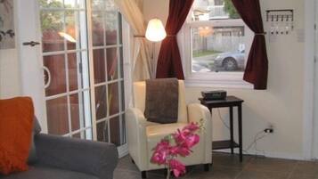 TV, DVD player, books, video library