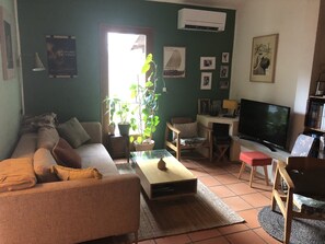 TV connectée, cheminée, livres, médiathèque