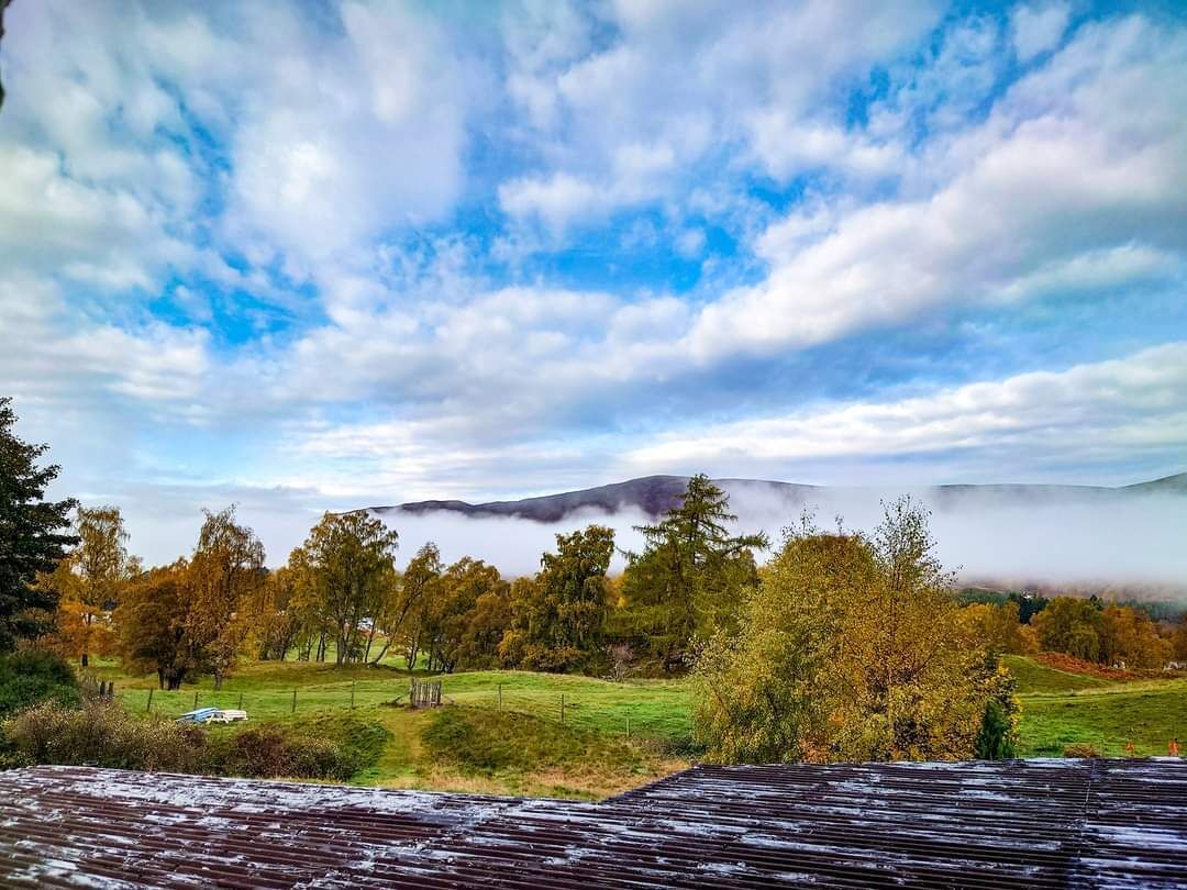 superior king room, lake view | egyptian cotton sheets, premium bedding, down duvets