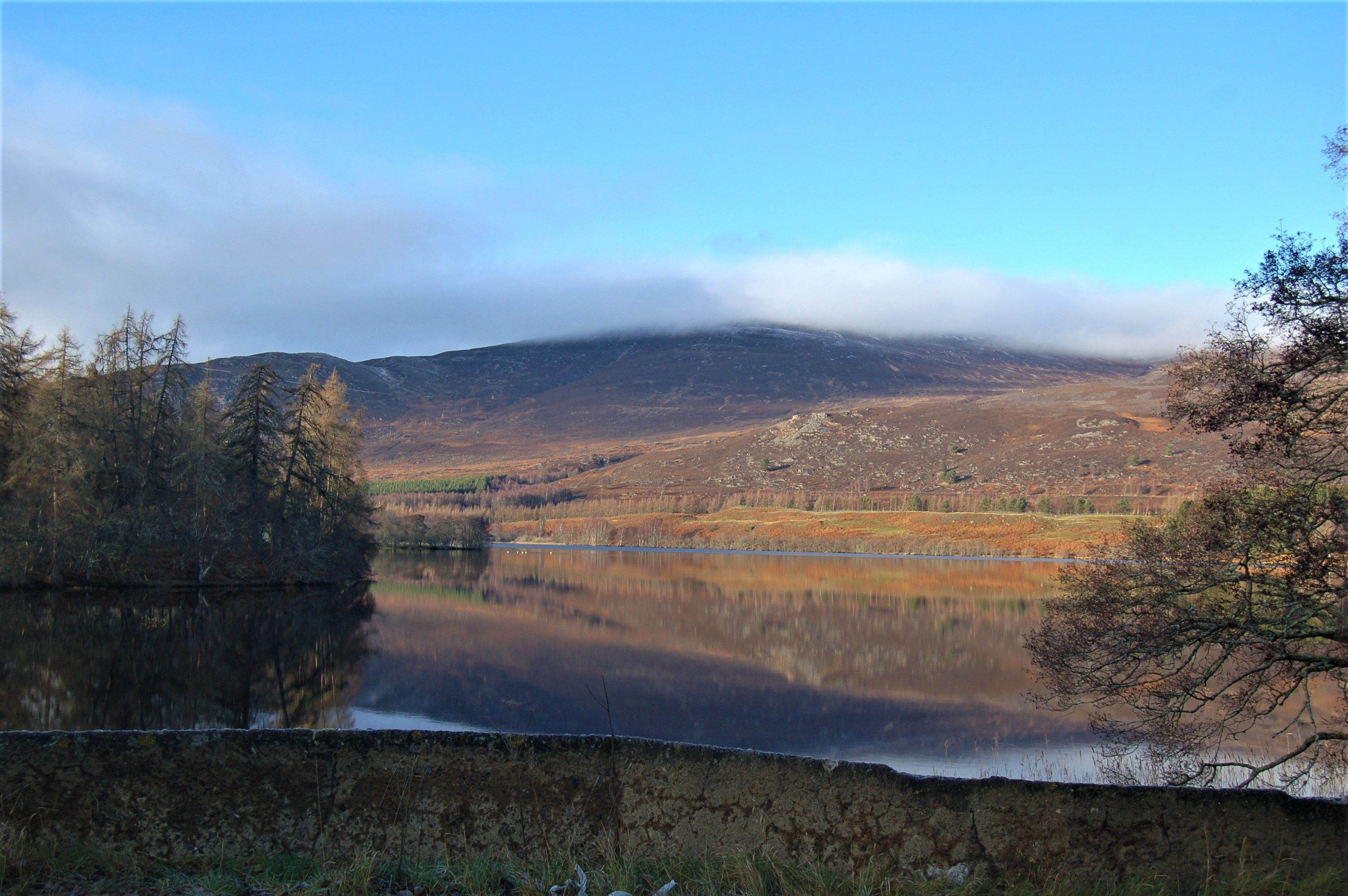 land view from property
