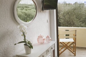 28-英寸纯平电视（配备卫星频道）、LED 电视、玩具