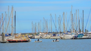 Een jachthaven met meerdere boten die aanmeren, waaronder een rode en witte boot op de voorgrond en verschillende zeilboten met hoge masten.