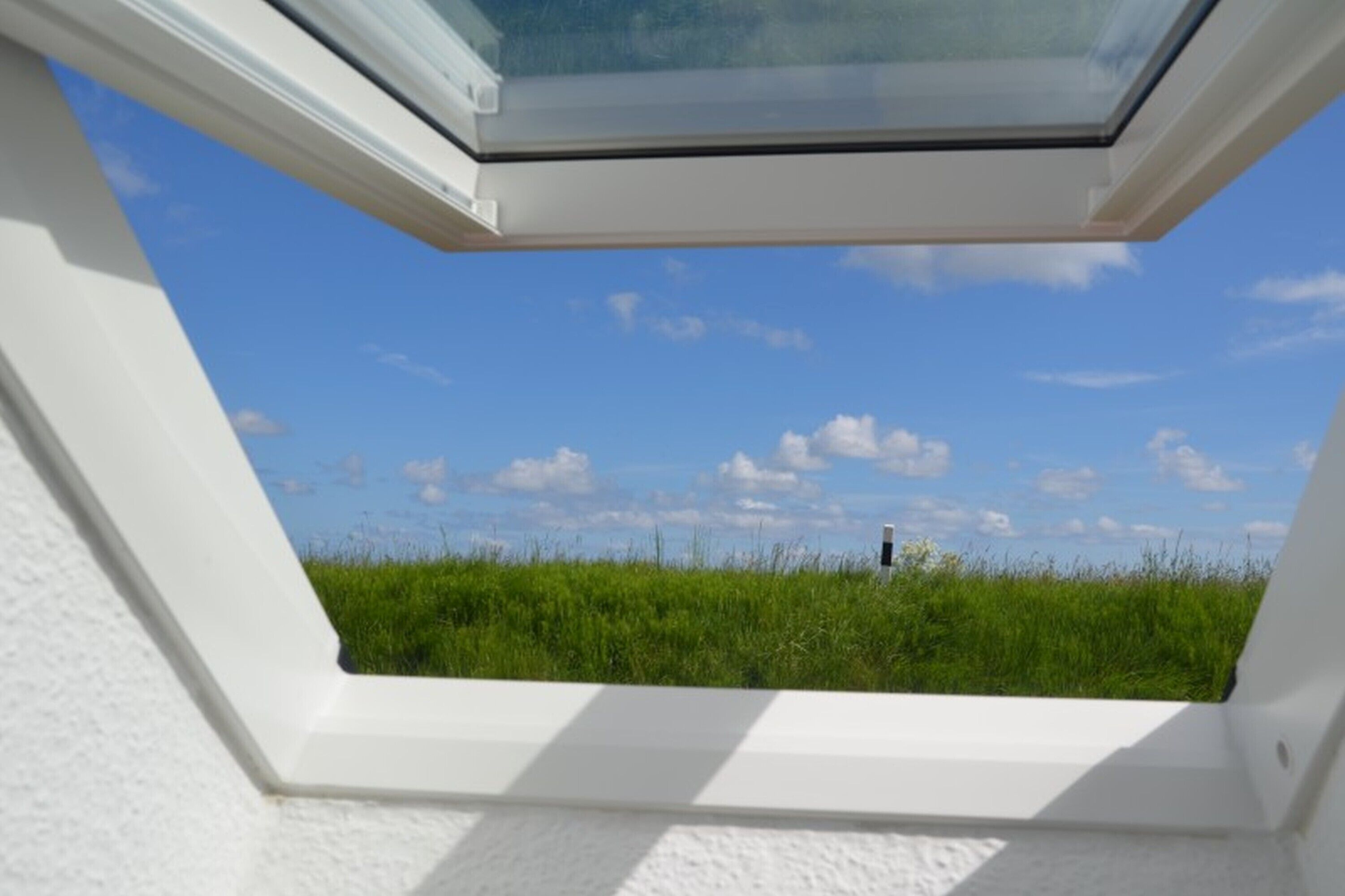 A skylight window with a clear view of a grassy field and a distant structure.