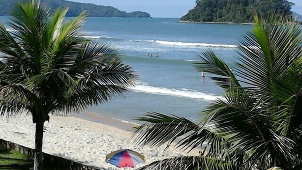 Una spiaggia con palme, una riva sabbiosa e una piccola capanna.