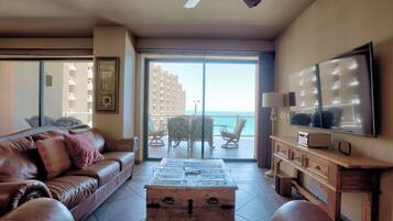 智能电视、DVD 播放器