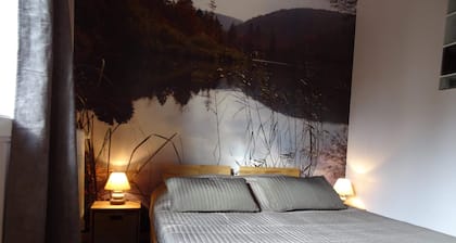 Apartamento situado en Deux-Alpes: 2 a 6 personas.