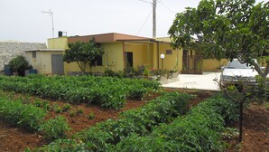 A yellow house with a garden in front.